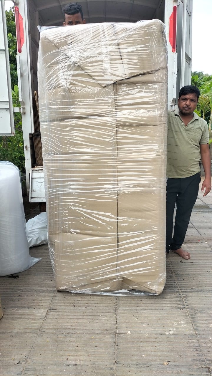 Professional Packing Services